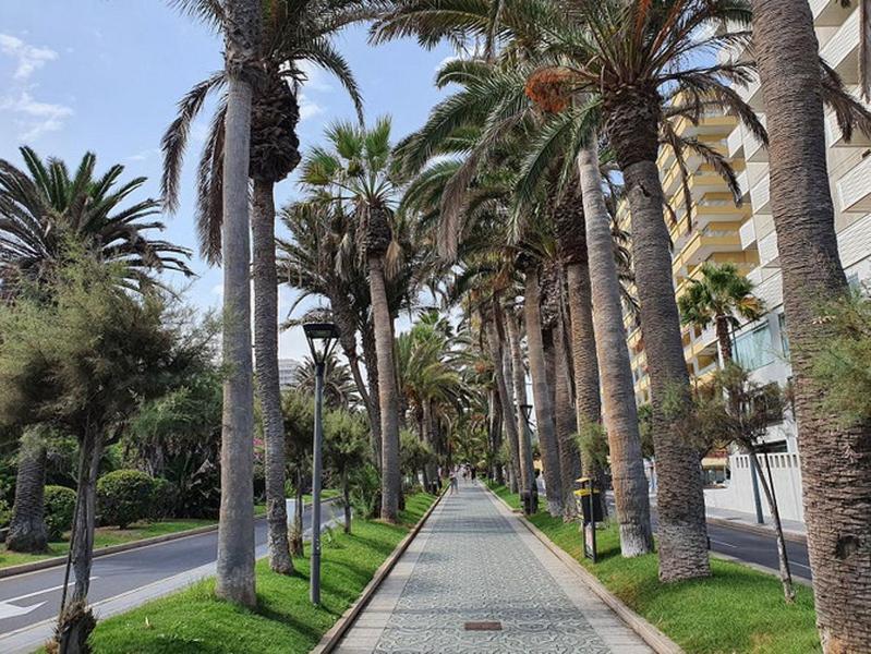 푸에르토 드 라 크루즈 Apartamento Renovado, Frente A La Playa, Con Garaje 아파트 외부 사진